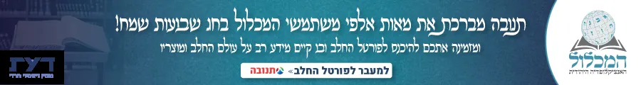 המכלול